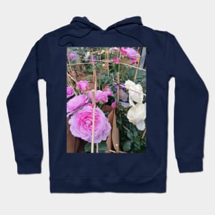 Beautiful Soft Pink Rose Flower In The Market Hoodie